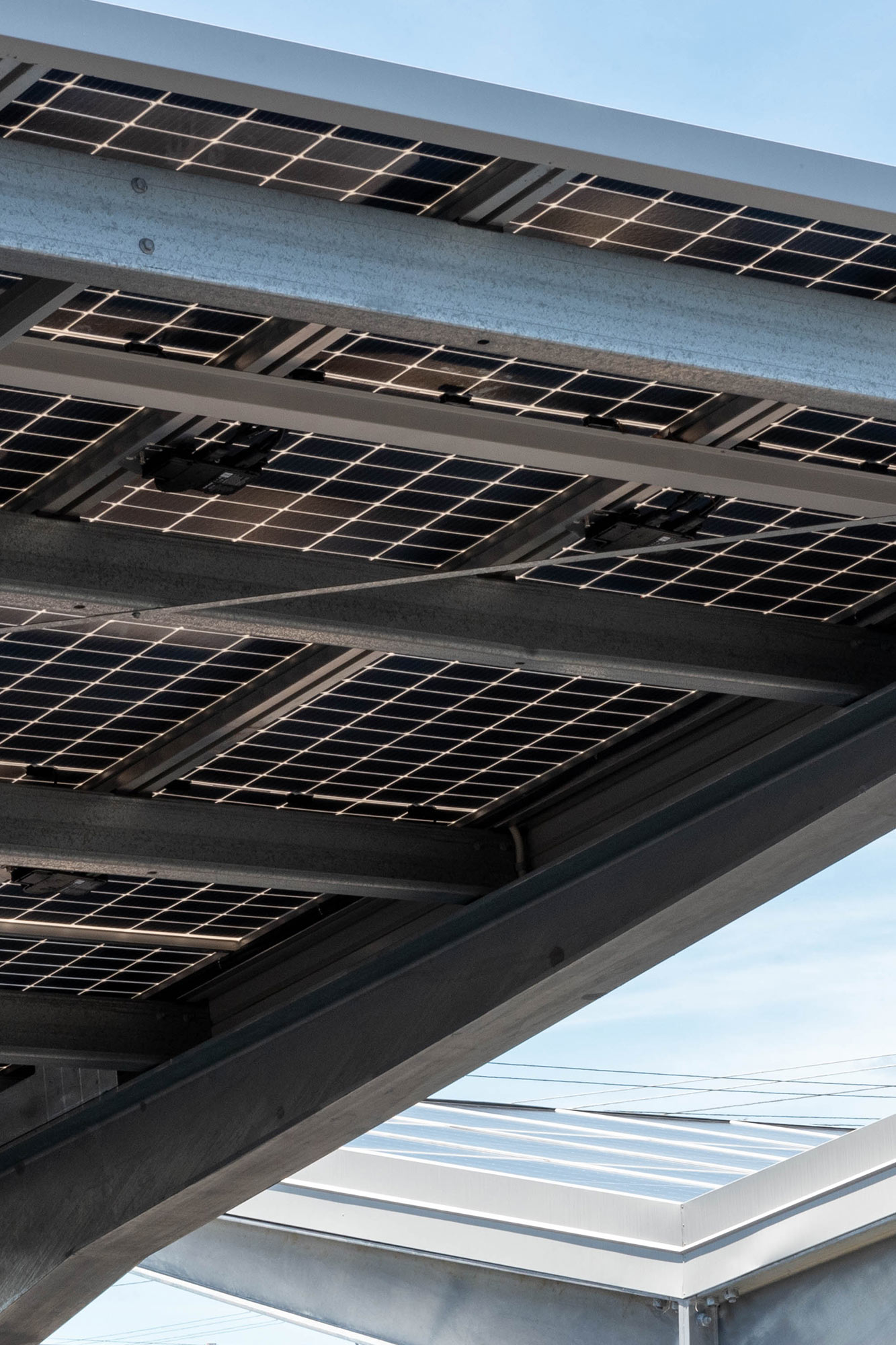 myriad-design-project-cazalys-3