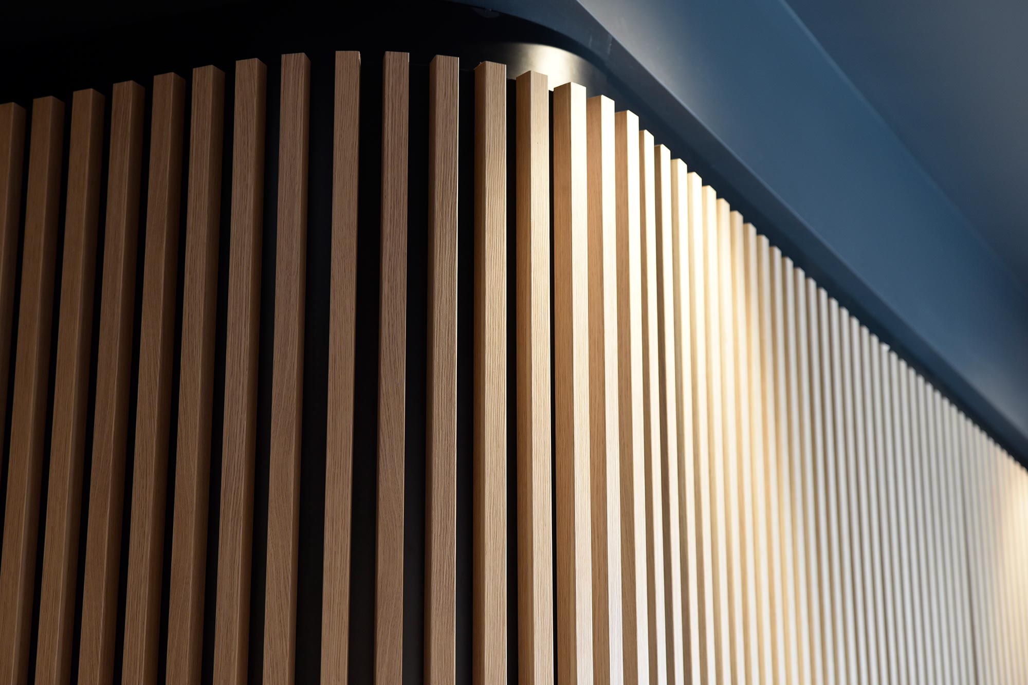 myriad-design-project-spine-body-6