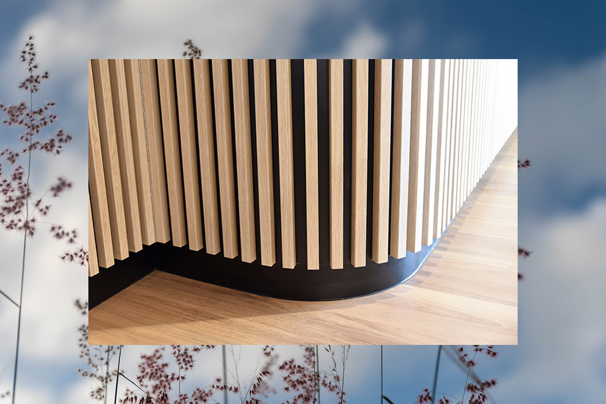 myriad-spine-bone-body-Featured