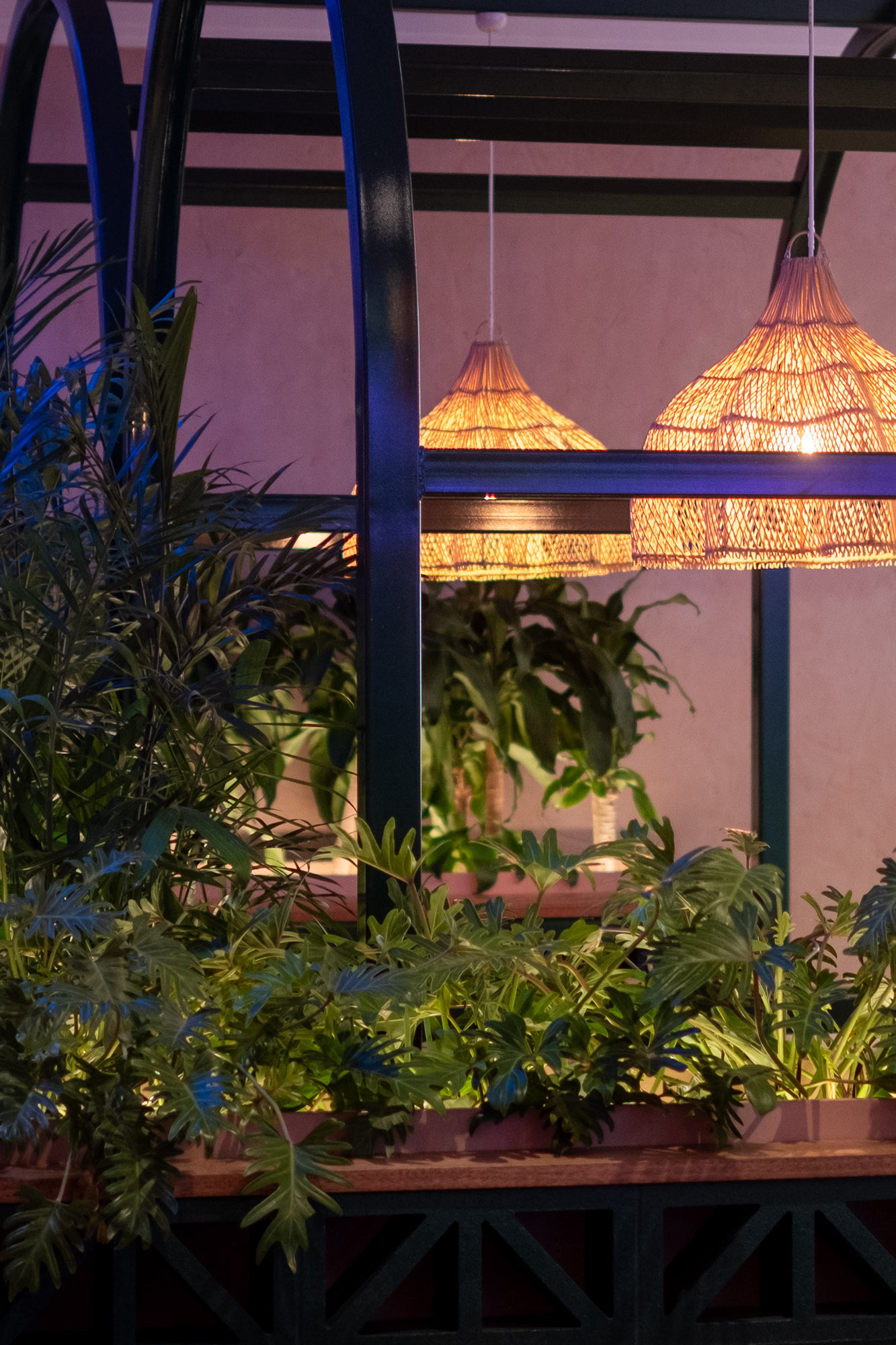 myriad-design-mexicairns-venu-detail