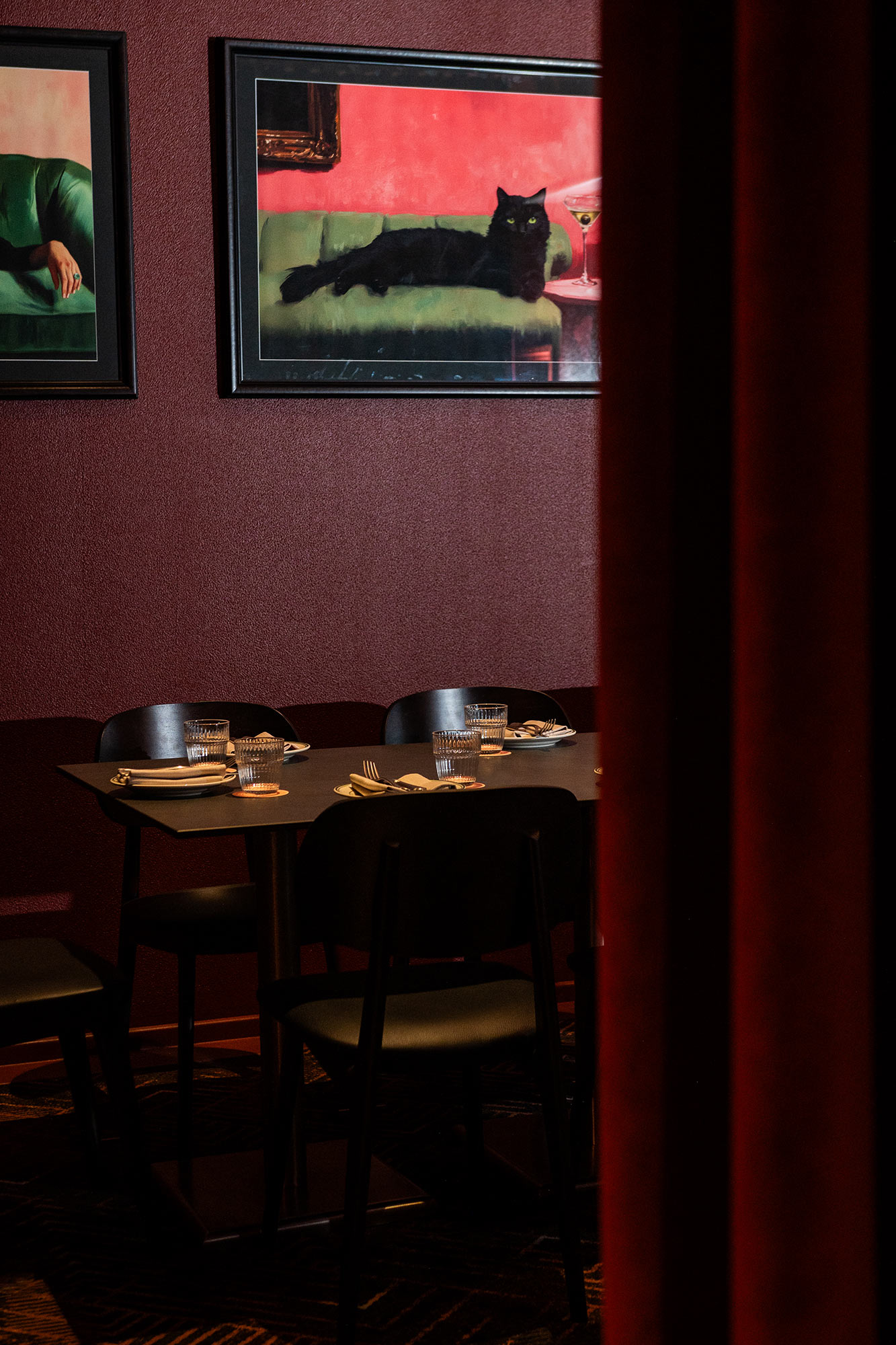 myriad-design-rufus-cat